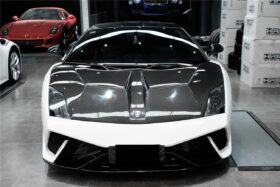 DarwinPRO 2009-2014 Lamborghini Gallardo IRON Style Hood - image 2