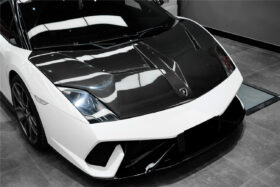 DarwinPRO 2009-2014 Lamborghini Gallardo IRON Style Hood - image 3