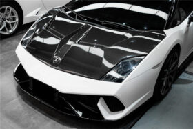 DarwinPRO 2009-2014 Lamborghini Gallardo IRON Style Hood - image 1