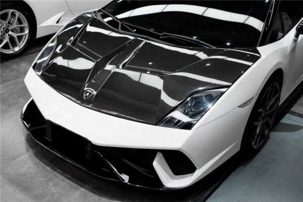 DarwinPRO 2009-2014 Lamborghini Gallardo IRON Style Hood