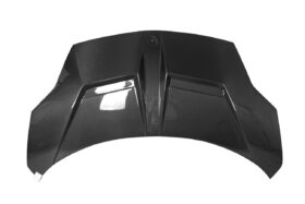 DarwinPRO 2009-2014 Lamborghini Gallardo IRON Style Hood - image 8