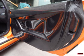 DarwinPRO 2004-2014 Lamborghini Gallardo Coupe Carbon Fiber Inner Door Panels - image 9