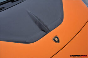 DarwinPRO 2004-2008 Lamborghini Gallardo VF Style Hood - image 7