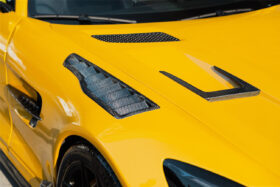 DarwinPRO 2015-2021 Mercedes Benz AMG GT & GTS & GTC & GTR BK Style Partial Carbon Fiber Front Fender - image 1
