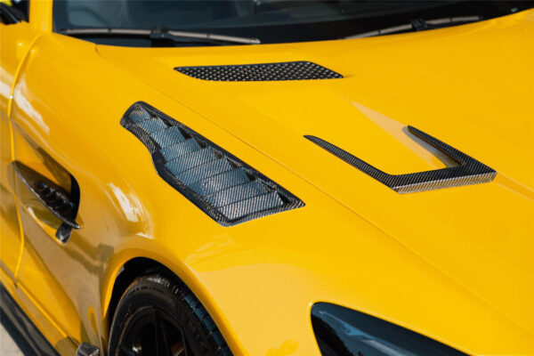 DarwinPRO 2015-2021 Mercedes Benz AMG GT & GTS & GTC & GTR BK Style Partial Carbon Fiber Front Fender