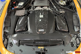 DarwinPRO 2015-2020 Mercedes Benz AMG GT | GTS  |GTC Autoclave Carbon Fiber Radiator Cover Repalcement - image 4