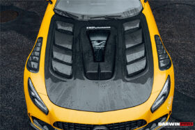 DarwinPRO 2015-2021 Mercedes Benz AMG GT | GTS | GTC | GTR Carbon Fiber Hood DarwinPRO IMPII Design - image 2