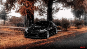 DarwinPRO 2015-2021 Mercedes Benz C63 C-Class Coupe IMP Performance Carbon Fiber Side Skirts - image 8