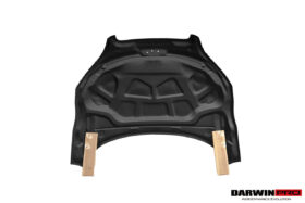 DarwinPRO 2006-2014 Audi TT & TTS DPRG Style Hood - image 10