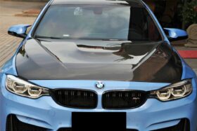 DarwinPRO 2014-2020 BMW M3 F80 | M4 F82 Carbon Fiber Hood - DarwinPRO GTS Design - image 1