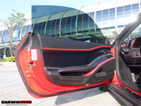 DarwinPro Aerodynamics DarwinPRO 458 Italia and Spider Carbon Fiber Door Panel Interior DarwinPRO (OE) for Ferrari 458 -