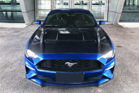 DarwinPRO 2018-2023 Ford Mustang Carbon Fiber Hood - image 1