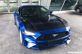 DarwinPRO 2018-2023 Ford Mustang Carbon Fiber Hood - image 2