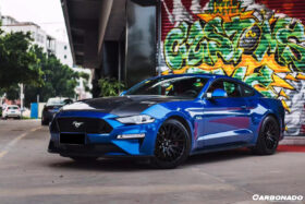 DarwinPRO 2018-2023 Ford Mustang Carbon Fiber Hood - image 10