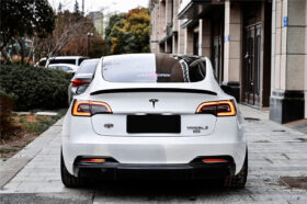 DarwinPRO 2017-2023 Tesla Model 3 IMP Performance Carbon Fiber Rear Lip - image 1