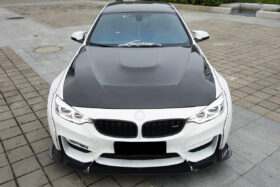 DarwinPRO 2014-2020 BMW M3 F80 | M4 F82 Carbon Fiber Hood - DarwinPRO GTS Design - image 8