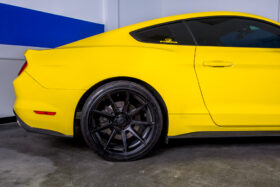 2015-2026 Ford Mustang – Steeda Minimum Drop Lowering Springs - Linear (5)