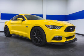 2015-2026 Ford Mustang – Steeda Minimum Drop Lowering Springs - Linear (2)