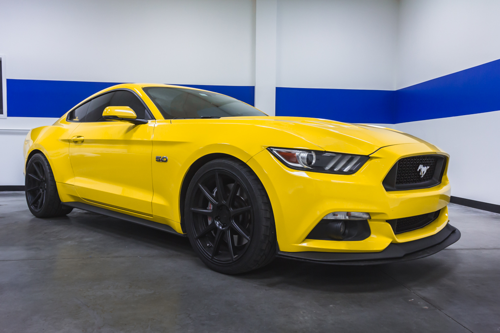 2015-2026 Ford Mustang – Steeda Minimum Drop Lowering Springs - Linear (2)