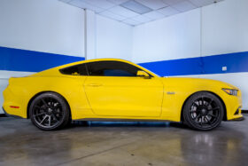 2015-2026 Ford Mustang – Steeda Minimum Drop Lowering Springs - Linear (4)