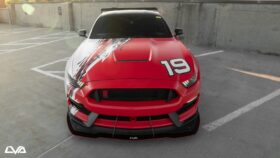 LiquiVinyl 2015-2020 Ford Mustang Shelby GT350R Front Splitter