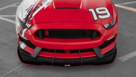 LiquiVinyl 2015-2020 Ford Mustang Shelby GT350R Front Splitter