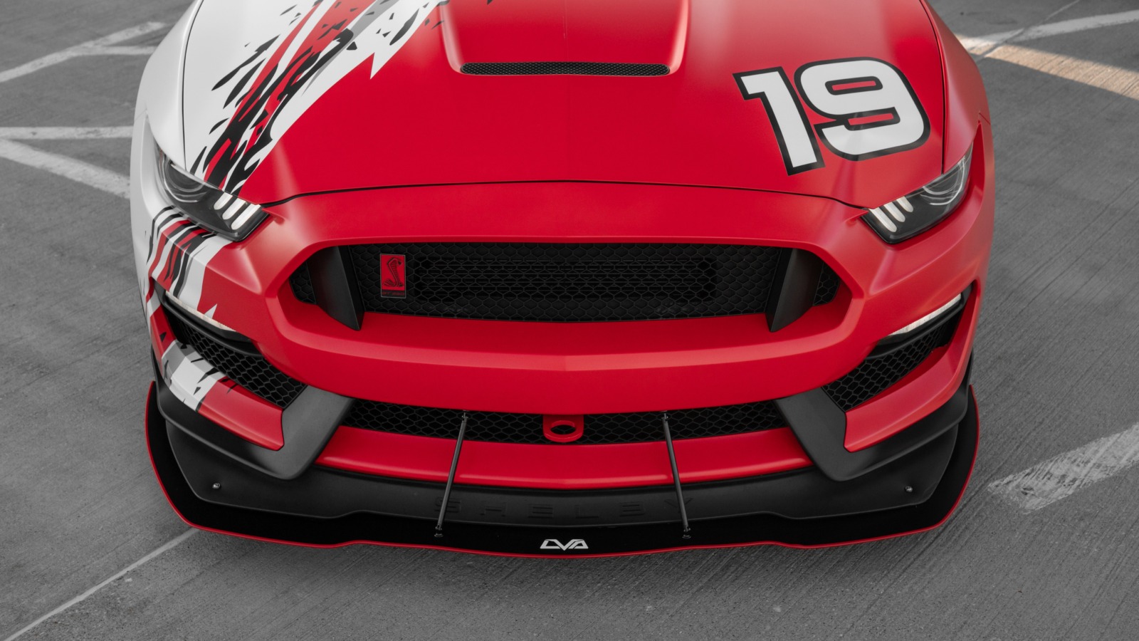 LiquiVinyl 2015-2020 Ford Mustang Shelby GT350R Front Splitter