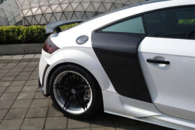 DarwinPRO 2006-2014 Audi TT & TTS DPRG Style Side Blades - image 1