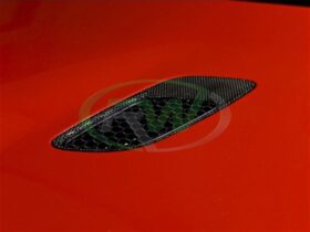 RW Carbon 2006-2011 BMW E90 E92 E93 M3 Carbon Fiber Hood Vents