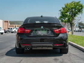 RW Carbon BMW F32 F33 F36 Performance Style CF Diffuser