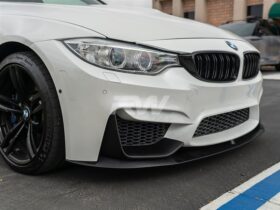 RW Carbon 2015-2020 BMW F8X M3 M4 Performance Style Front Lip and Splitters