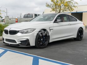 RW Carbon 2015-2020 BMW F8X M3 M4 Performance Style Front Lip and Splitters