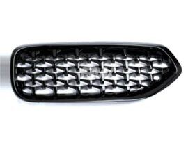 RW Carbon BMW G29 Z4 Glazing Black Front Grilles