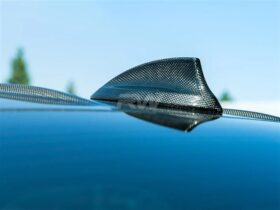 RW Carbon BMW G42 2-Series Carbon Fiber Antenna Cover