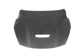 DarwinPro Aerodynamics DarwinPRO F12 Berlinetta OEM Style Hood for Ferrari F12
