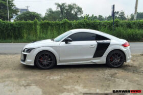 DarwinPRO 2006-2014 Audi TT & TTS DPRG Style Side Blades - image 2