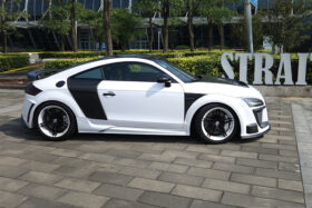 DarwinPRO 2006-2014 Audi TT & TTS DPRG Style Side Blades - image 5