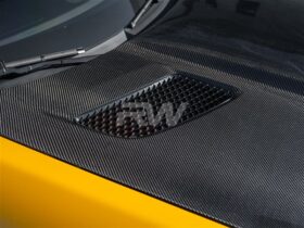 RW Carbon Mercedes C190 R190 RWS Carbon Fiber Hood