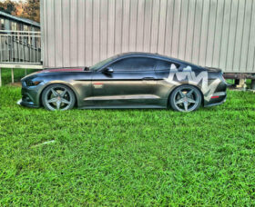 2015-2023 Ford Mustang GT/V6/EcoBoost – Steeda Ultralite Extreme Linear Lowering Springs (2)