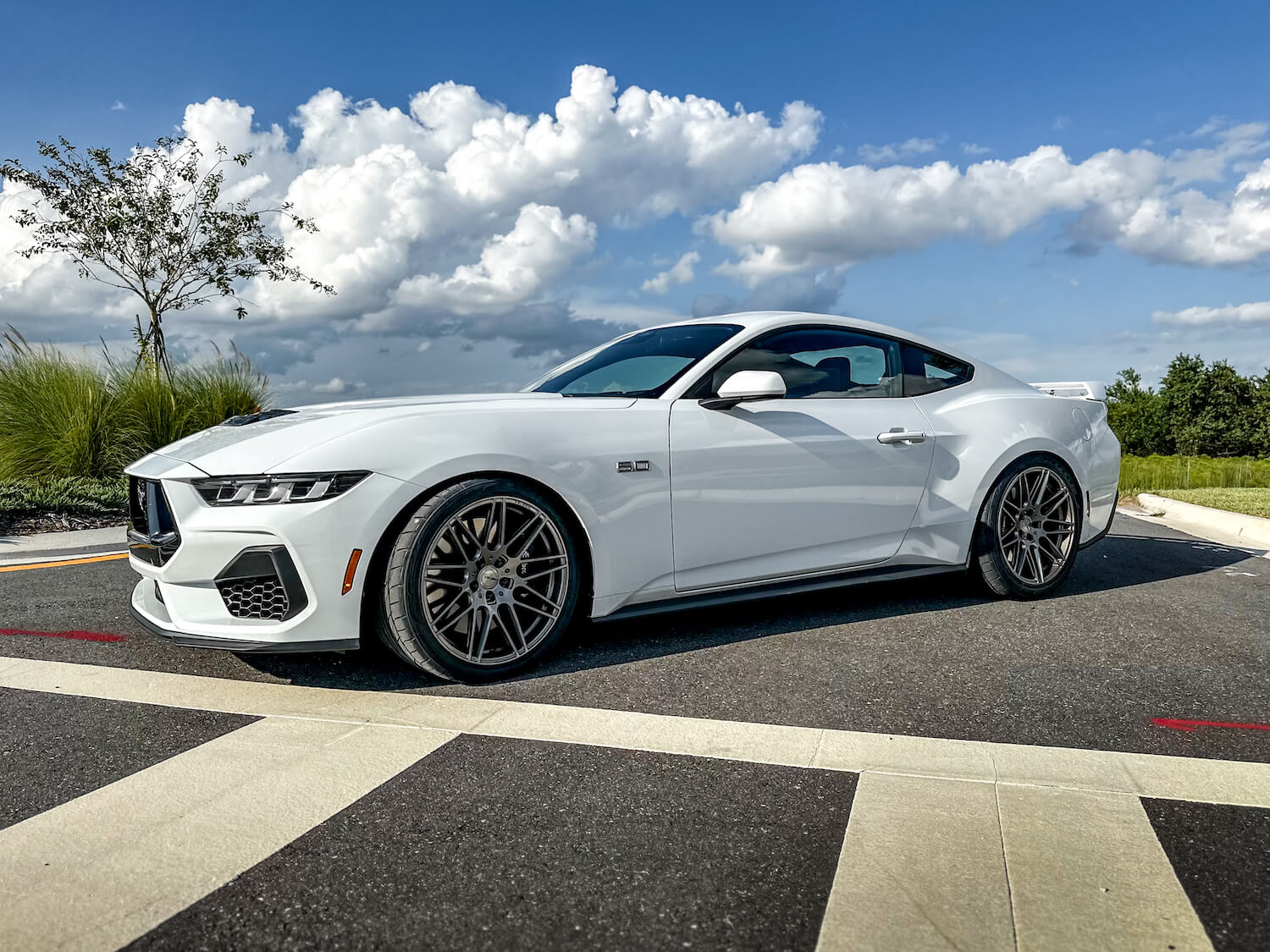2015-2026 Ford Mustang – Steeda Sport Lowering Springs - Progressive (2)