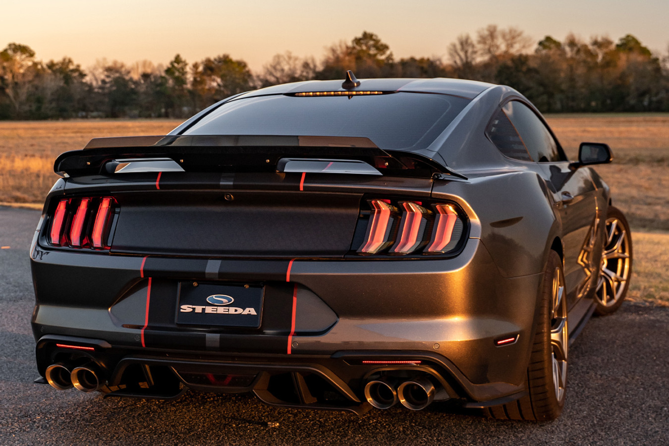 2015-2023 Ford Mustang – Steeda Style Spoiler Premium Hardware Kit (2)