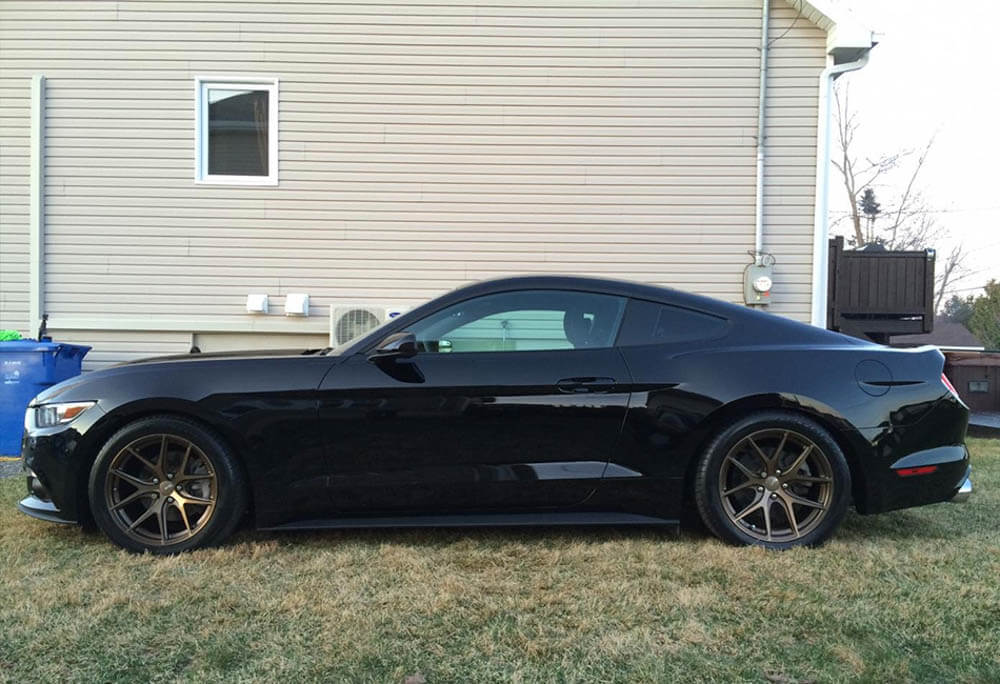2015-2023 Ford Mustang GT/V6 – Steeda Ultralite Lowering Springs - Linear (2)