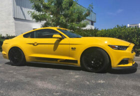 2015-2023 Ford Mustang GT/V6/EcoBoost – Steeda Ultralite Extreme Linear Lowering Springs (3)