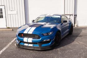 Verus Engineering 2015-2020 Ford Mustang Shelby GT350 Carbon Hood Louver Kit - image 4