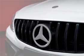 DarwinPRO 2015-2018 Mercedes Benz W205 C63 & C63S AMG Coupe IMP Carbon Fiber Grille - image 1
