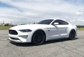 2015-2026 Ford Mustang – Steeda MagneRide Sport Progressive Lowering Springs (6)
