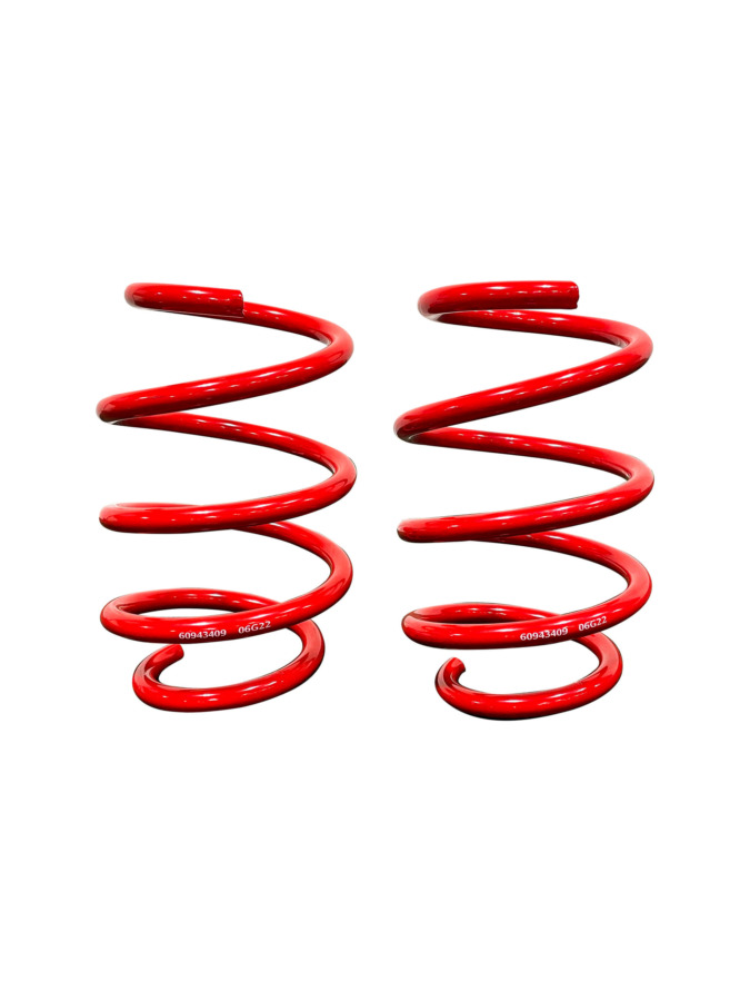 Roush MagneRide Lowering Springs - 2018-2026 Mustang GT & EcoBoost 422330